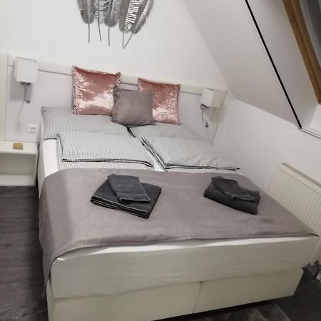 エゲルSalvus Apartmanアパートメント エクステリア 写真
